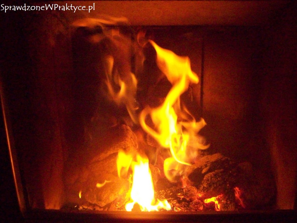 Brykiet PALLAP po dwóch godzinach