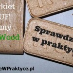 Brykiet RUF firmy ICF Wood kupiony w Castoramie – mój test.