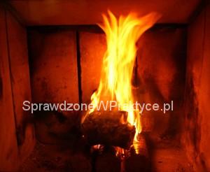 Brykiet Dąbex płonący w kominku