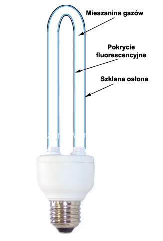 budowa świetlówki energooszczędnej
