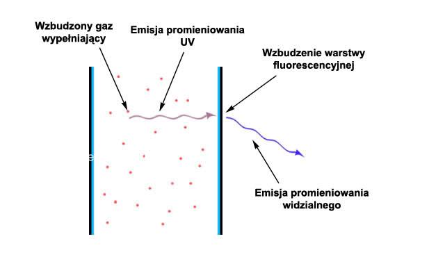budowa świetlówki energooszczędnej