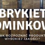 Jak wybrać i kupić dobry brykiet kominkowy? – poradnik kupującego.