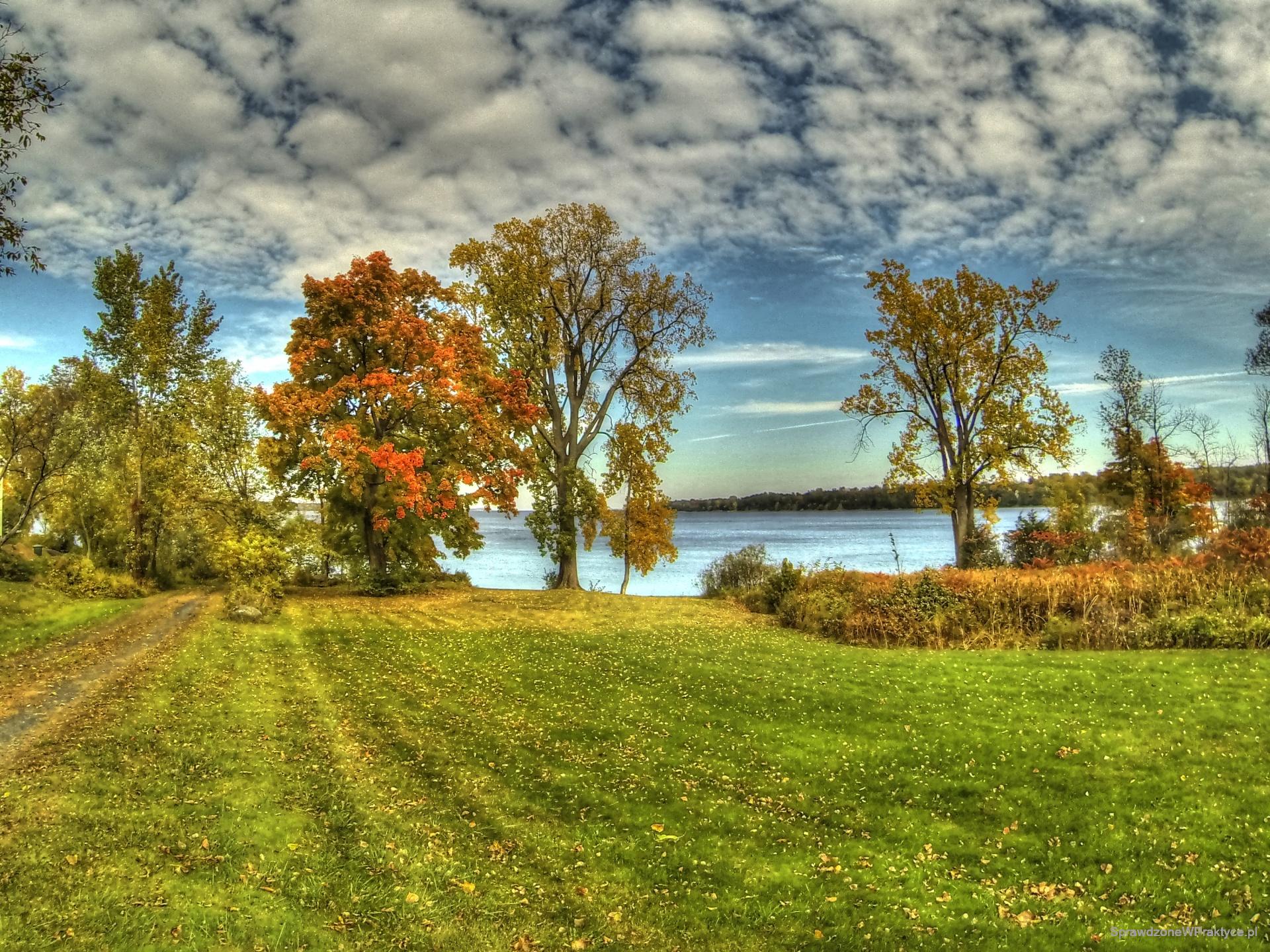 działka do wynajęcia