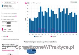 eLicznik Tauron styczeń 2022
