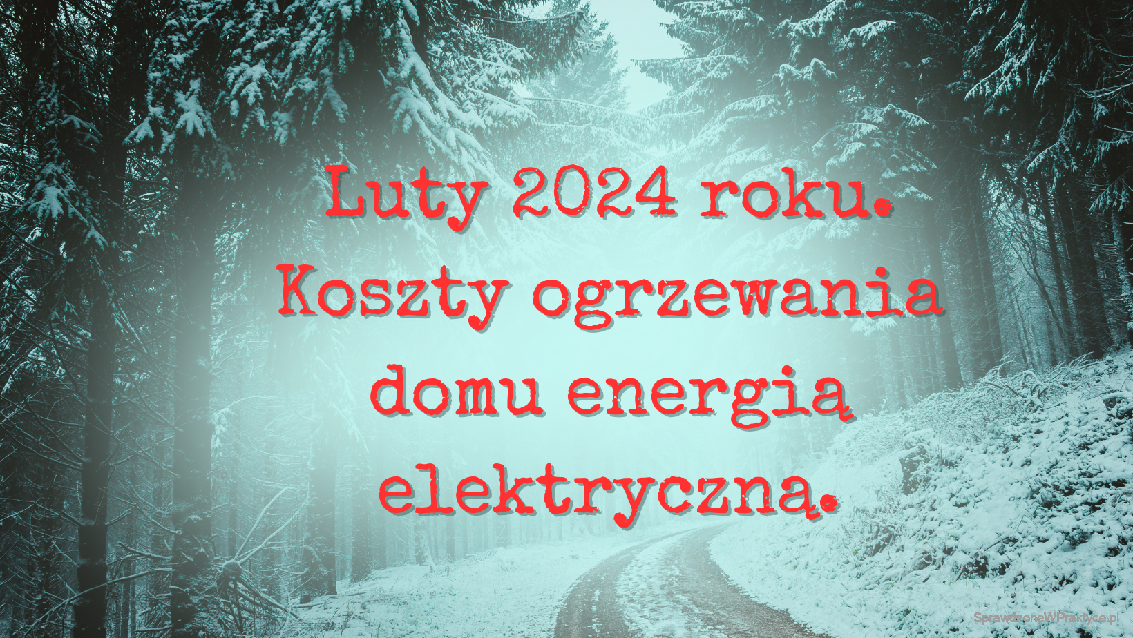 Luty 2024, koszty ogrzewania domu energią elektryczną.
